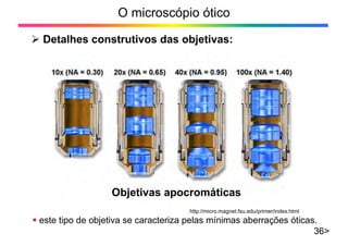 O microscópio ótico
¾ Detalhes construtivos das objetivas:
36>
Objetivas apocromáticas
http://micro.magnet.fsu.edu/primer/index.html
ƒ este tipo de objetiva se caracteriza pelas mínimas aberrações óticas.
 