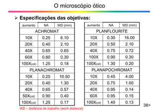 O microscópio ótico
¾ Especificações das objetivas:
38>
0.17
1.25
100X(oil)
0.40
0.90
50X(oil)
0.57
0.65
40X
1.30
0.40
20X
10.50
0.25
10X
PLANACHROMAT
0.18
1.25
100X(oil)
0.30
0.80
60X
0.65
0.65
40X
2.10
0.40
20X
6.10
0.25
10X
ACHROMAT
WD (mm)
NA
aumento
0.13
1.40
100X(oil)
0.15
0.95
60X
0.14
0.95
40X
1.00
0.75
20X
4.00
0.45
10X
PLANAPOCHROMAT
0.20
1.30
100X(oil)
0.30
0.90
100X
0.72
0.75
40X
2.10
0.50
20X
16.00
0.30
10X
PLANFLOURITE
WD (mm)
NA
aumento
WD – distância de trabalho (work distance)
 