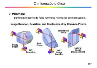 O microscópio ótico
¾ Prismas:
41>
permitem o desvio do feixe luminoso no interior do microscópio.
 