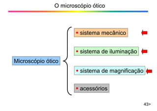 O microscópio ótico
43>
Microscópio ótico
ƒ sistema de magnificação
ƒ sistema de iluminação
ƒ sistema mecânico
ƒ acessórios
 