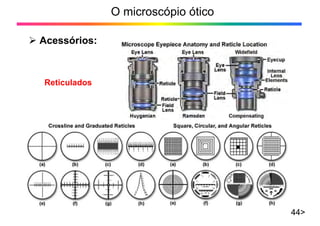 O microscópio ótico
¾ Acessórios:
44>
Reticulados
 