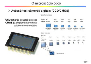 O microscópio ótico
¾ Acessórios: câmeras digitais (CCD/CMOS)
47>
CCD (charge-coupled device)
CMOS (Complementary metal–
oxide semiconductor)
 