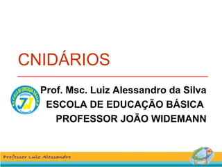 CNIDÁRIOS 
Prof. Msc. Luiz Alessandro da Silva 
ESCOLA DE EDUCAÇÃO BÁSICA 
PROFESSOR JOÃO WIDEMANN 
 