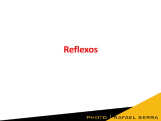 Reflexos
 
