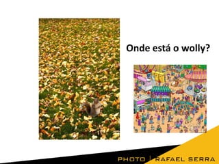 Onde está o wolly?

 