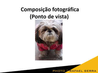 Composição fotográfica
(Ponto de vista)

 