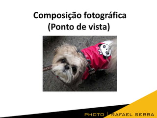 Composição fotográfica
(Ponto de vista)

 