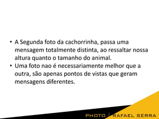 • A Segunda foto da cachorrinha, passa uma
mensagem totalmente distinta, ao ressaltar nossa
altura quanto o tamanho do animal.
• Uma foto nao é necessariamente melhor que a
outra, são apenas pontos de vistas que geram
mensagens diferentes.

 
