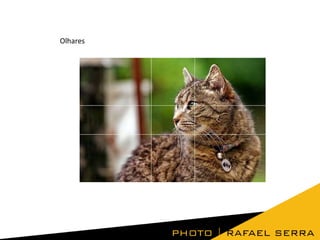 Olhares

 