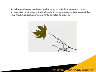 As linhas na diagonal conduzem o olhar de uma parte da imagem para outra
e transmitem uma maior energia, dinamismo e movimento, e criam um caminho
que conduz o nosso olhar de um canto ao outro da imagem.

 