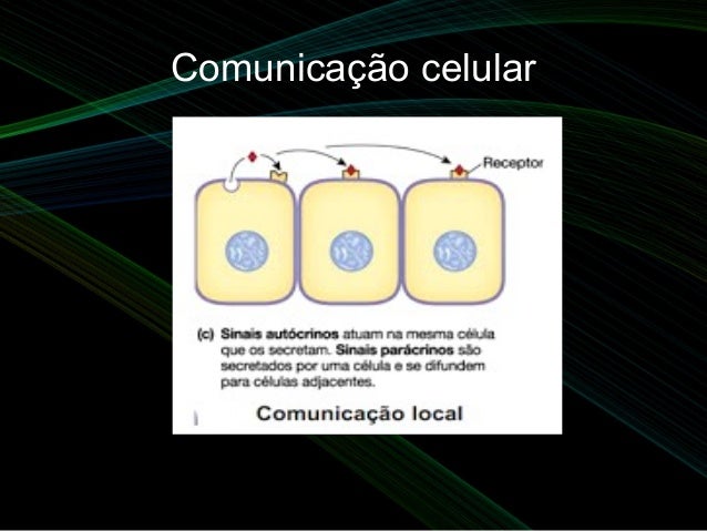 Aula 3 comunicação celular
