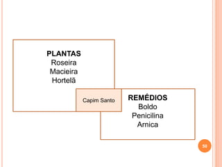 50
PLANTAS
Roseira
Macieira
Hortelã
REMÉDIOS
Boldo
Penicilina
Arnica
Capim Santo
 