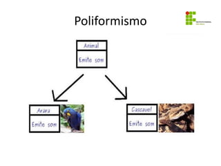 Poliformismo
 