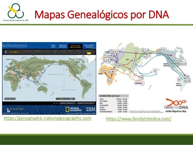 Nationalgeographic com genographic Genographic Project. Find educator resources related to human origins, ancient and modern human migrations, where our early human ancestors came from, and how genetic markers are used to reconstruct the routes by which different groups of humans migrated around the world.