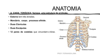 ANATOMIA
• A CAIXA TORÁCICA fornece uma estrutura de proteção.
• Esterno tem três divisões.
• Manúbrio, corpo, processo xifoide.
• Duas Clavículas
• Duas Escápulas
• 12 pares de costelas que circundam o tórax.
PROF. FERNANDA LIMA
 