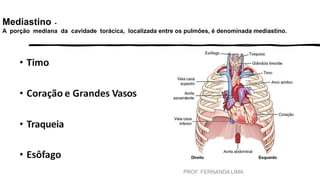 Mediastino -
A porção mediana da cavidade torácica, localizada entre os pulmões, é denominada mediastino.
PROF. FERNANDA LIMA
 