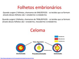 Folhetos embrionários
Quando surgem 2 folhetos, chamamos de DIBLÁSTICOS - os tecidos que se formam
através desses folhetos são = ectoderme e endoderme.
Quando surgem 3 folhetos, chamamos de TRIBLÁSTICOS - os tecidos que se formam
através desses folhetos são = ectoderme, mesoderme e endoderme.
Celoma
http://www.sobiologia.com.br/conteudos/embriologia/reproducao12.php
 
