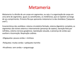Metameria
Metameria é a divisão de um corpo em segmentos, ou seja, é a organização do corpo em
uma série de segmentos, iguais ou semelhantes, os metâmeros, que se repetem ao longo
de seu comprimento. Primeiro filo que apresenta metameria é o dos Anelídeos (“pequeno
anel”).
Características dos anelídeos: sistema circulatório fechado, sistema digestório completo, os
segmentos são visíveis externa e internamente (presença de septos), excreção feita por
nefrídios, sistema nervoso ganglionar, reprodução sexuada, e presença de cerdas que
auxiliam a locomoção. Respiração cutânea.
-Oligoquetas: poucas cerdas = minhoca
-Poliquetas: muitas cerdas = poliqueto marinho
-Hirudíneos: sem cerdas = sanguessuga
 