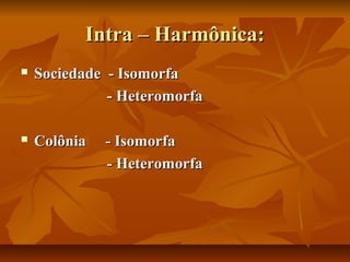 Intra – Harmônica:
   Sociedade - Isomorfa
              - Heteromorfa

   Colônia   - Isomorfa
              - Heteromorfa
 