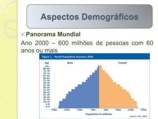  Panorama Mundial
Ano 2000 – 600 milhões de pessoas com 60
anos ou mais
Aspectos Demográficos
 