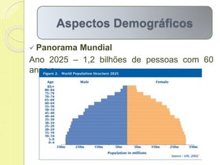  Panorama Mundial
Ano 2025 – 1,2 bilhões de pessoas com 60
anos ou
Aspectos Demográficos
 