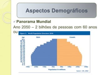  Panorama Mundial
Ano 2050 – 2 bilhões de pessoas com 60 anos
ou
Aspectos Demográficos
 
