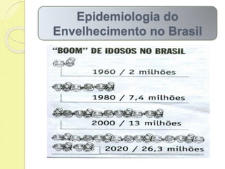 Epidemiologia do
Envelhecimento no Brasil
 