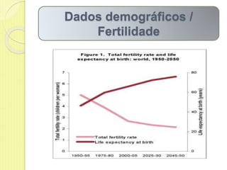 Dados demográficos /
Fertilidade
 