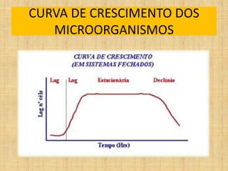 CURVA DE CRESCIMENTO DOS
MICROORGANISMOS
 