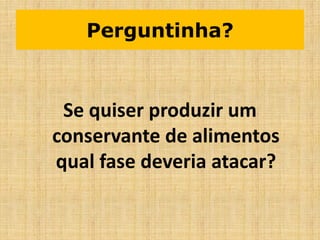 Perguntinha?
Se quiser produzir um
conservante de alimentos
qual fase deveria atacar?
 