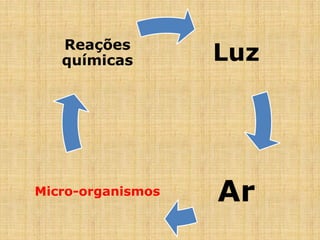Luz
ArMicro-organismos
Reações
químicas
 