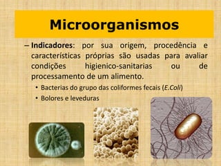 – Indicadores: por sua origem, procedência e
características próprias são usadas para avaliar
condições higienico-sanitarias ou de
processamento de um alimento.
• Bacterias do grupo das coliformes fecais (E.Coli)
• Bolores e leveduras
Microorganismos
 