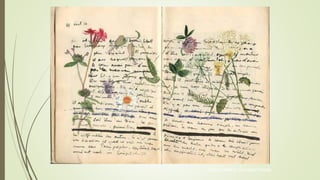 “Diário Gráfico”,Cornélia Forster
 