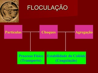 FLOCULAÇÃOFLOCULAÇÃO
Partículas Choques Agregação
Processo Físico
(Transporte)
Estabilidade do Colóide
(Coagulação)
 
