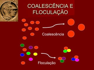 COALESCÊNCIA ECOALESCÊNCIA E
FLOCULAÇÃOFLOCULAÇÃO
Coalescência
Floculação
 