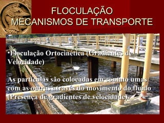 •Floculação Ortocinética (Gradientes deFloculação Ortocinética (Gradientes de
Velocidade)Velocidade)
As partículas são colocadas em contato umasAs partículas são colocadas em contato umas
com as outras através do movimento do fluídocom as outras através do movimento do fluído
(Presença de gradientes de velocidade).(Presença de gradientes de velocidade).
FLOCULAÇÃOFLOCULAÇÃO
MECANISMOS DE TRANSPORTEMECANISMOS DE TRANSPORTE
 