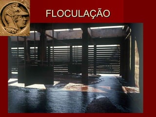 FLOCULAÇÃOFLOCULAÇÃO
 