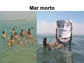 Mar morto
 