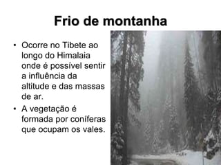 Frio de montanha
• Ocorre no Tibete ao
longo do Himalaia
onde é possível sentir
a influência da
altitude e das massas
de ar.
• A vegetação é
formada por coníferas
que ocupam os vales.
 