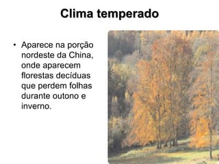 Clima temperado
• Aparece na porção
nordeste da China,
onde aparecem
florestas decíduas
que perdem folhas
durante outono e
inverno.
 