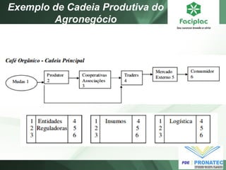 Exemplo de Cadeia Produtiva do Agronegócio  
