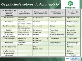 Os principais setores do Agronegócio 
Fornecedores de insumos e Bens de produção Produção agropecuária Processamento e transformação Distribuição e consumo Serviços de apoio Sementes Produção animal Alimentos Restaurantes Agronômicos Calcário Lavouras permanentes Têxteis Hotéis Veterinários Fertilizantes Lavouras temporárias Vestuário Bares Pesquisa Rações Horticultura Calçados Padarias Bancário Defensivos Silvicultura Madeira Feiras Marketing Produtos Veterinários Floricultura Etanol Supermercados Vendas Combustíveis Extração vegetal Papel e Papelão Comércio Transporte Tratores Indústria rural Fumo Exportação Armazenagem Colheitadeiras Óleos Essenciais Portos Implementos Bolsas Máquinas Seguros Motores  