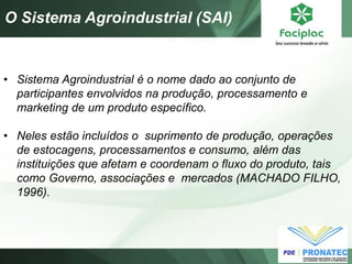 O Sistema Agroindustrial (SAI) 
•Sistema Agroindustrial é o nome dado ao conjunto de participantes envolvidos na produção, processamento e marketing de um produto específico. 
•Neles estão incluídos o suprimento de produção, operações de estocagens, processamentos e consumo, além das instituições que afetam e coordenam o fluxo do produto, tais como Governo, associações e mercados (MACHADO FILHO, 1996).  
