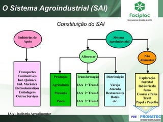 O Sistema Agroindustrial (SAI) 
Indústrias de 
Apoio 
Sistema 
Agroindustrial 
Alimentar Não 
Alimentar 
Produção 
Agricultura 
Pecuária 
Pesca 
Transformação 
IAA 1a Transf. 
IAA 2a Transf. 
IAA 3a Transf. 
Distribuição 
Varejo 
Atacado 
Restaurantes 
Hotéis 
etc. 
Exploração 
florestal 
Indústria do 
fumo 
Couros e Peles 
Têxtil 
Papel e Papelão 
Transportes 
Combustíveis 
Ind. Química 
Ind. Mecânica 
Eletrodomésticos 
Embalagens 
Outros Serviços 
IAA - Indústria Agroalimentar 
Constituição do SAI 
 