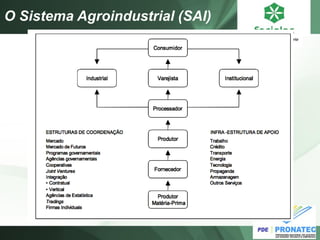 O Sistema Agroindustrial (SAI)  
