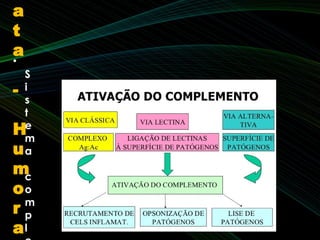 •
S
i
s
t
e
m
a
c
o
m
p
l
a
t
a
-
H
u
m
o
r
a
 