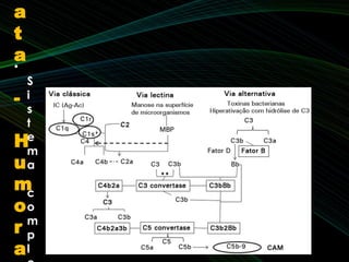 •
S
i
s
t
e
m
a
c
o
m
p
l
a
t
a
-
H
u
m
o
r
a
 