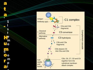 •
S
i
s
t
e
m
a
c
o
m
p
l
a
t
a
-
H
u
m
o
r
a
 