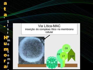 •
S
i
s
t
e
m
a
c
o
m
p
l
a
t
a
-
H
u
m
o
r
a
 