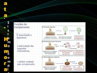 •
S
i
s
t
e
m
a
c
o
m
p
l
a
t
a
-
H
u
m
o
r
a
 
